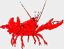 CRAWFISH61's Avatar