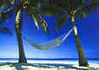 Corndog308's Avatar